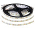 Світлодіодна стрічка OEM ST-12-2835-120-CW-65 SMD2835 12V 9W/м 120 LED/м 6000–6500K IP65, 5 м Світлодіодна стрічка OEM ST-12-2835-120-CW-65 SMD2835 12V 9W/м 120 LED/м 6000–6500K IP65, 5 м