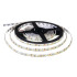 Світлодіодна стрічка OEM ST-12-2835-120-CW-65 SMD2835 12V 9W/м 120 LED/м 6000–6500K IP65, 5 м Світлодіодна стрічка OEM ST-12-2835-120-CW-65 SMD2835 12V 9W/м 120 LED/м 6000–6500K IP65, 5 м