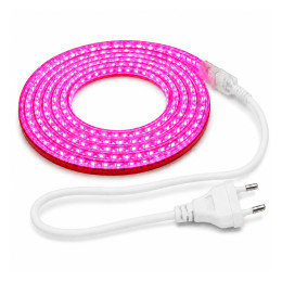 Рожева світлодіодна стрічка AVT 5 м із вилкою, 220 В, 9 Вт/м, 120 LED/м, SMD 2835, IP65 — готовий комплект Рожева світлодіодна стрічка AVT 5 м із вилкою, 220 В, 9 Вт/м, 120 LED/м, SMD 2835, IP65 — готовий комплект