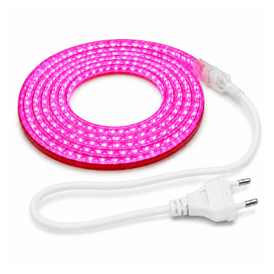 Рожева LED-стрічка AVT 220 В, 9 Вт/м, 120 LED/м — комплект 5 м