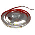 Світлодіодна стрічка BIOM BPS-G4-48-2835-120-NW-20 48V 120 LED/м IP20, 5 м